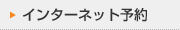 �C���^�[�l�b�g�\��